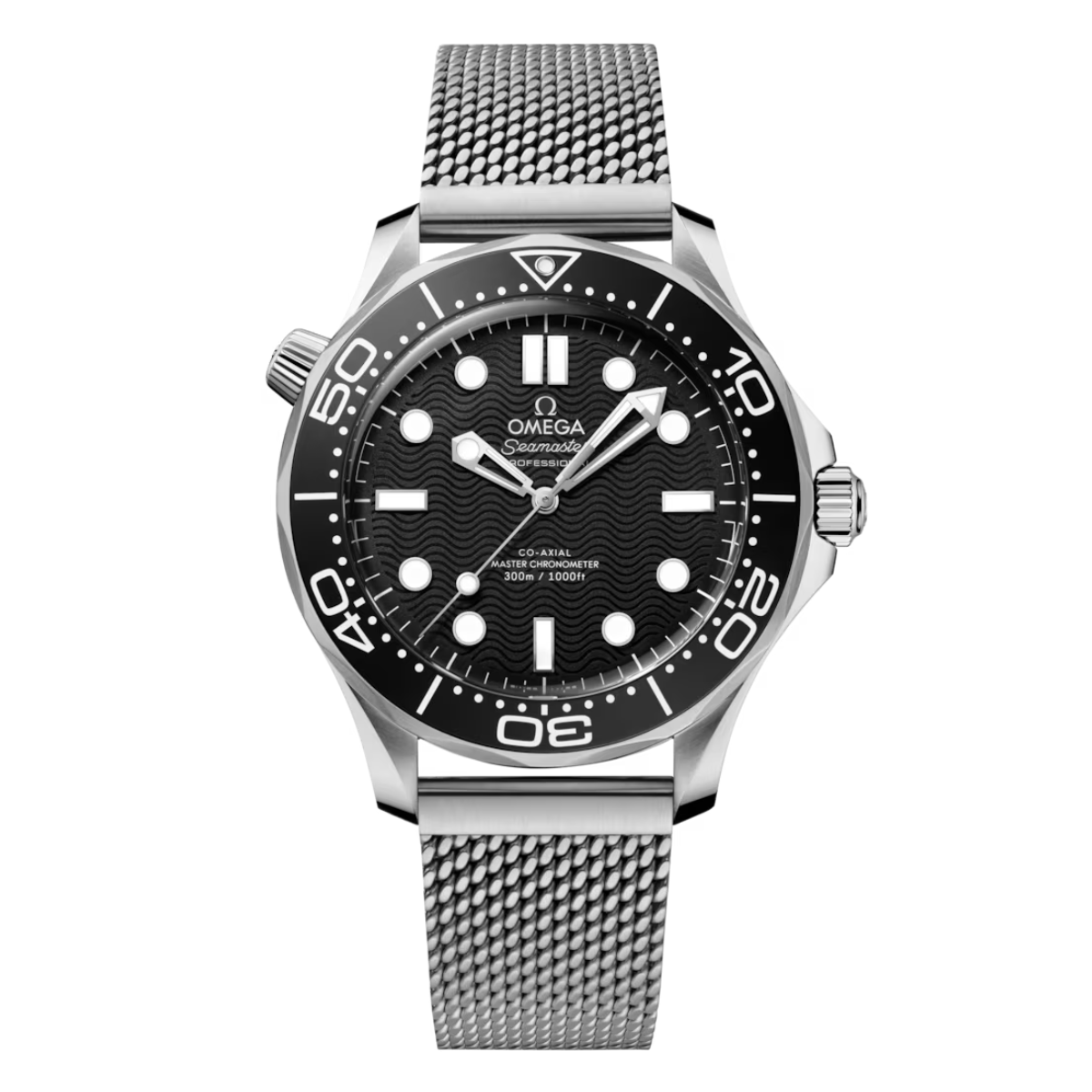 Seamaster Diver 300M